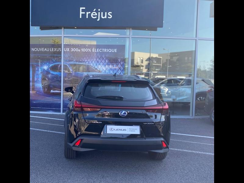 LEXUS UX 300e Pack - photo 15