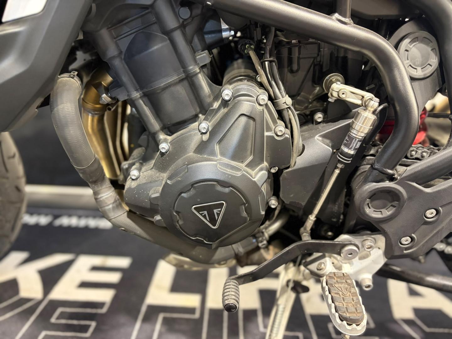 TRIUMPH Tiger 900 GT Pro - photo 8