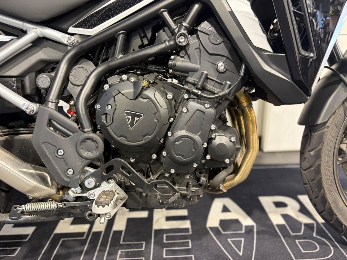 TRIUMPH Tiger 900 GT Pro - photo 10