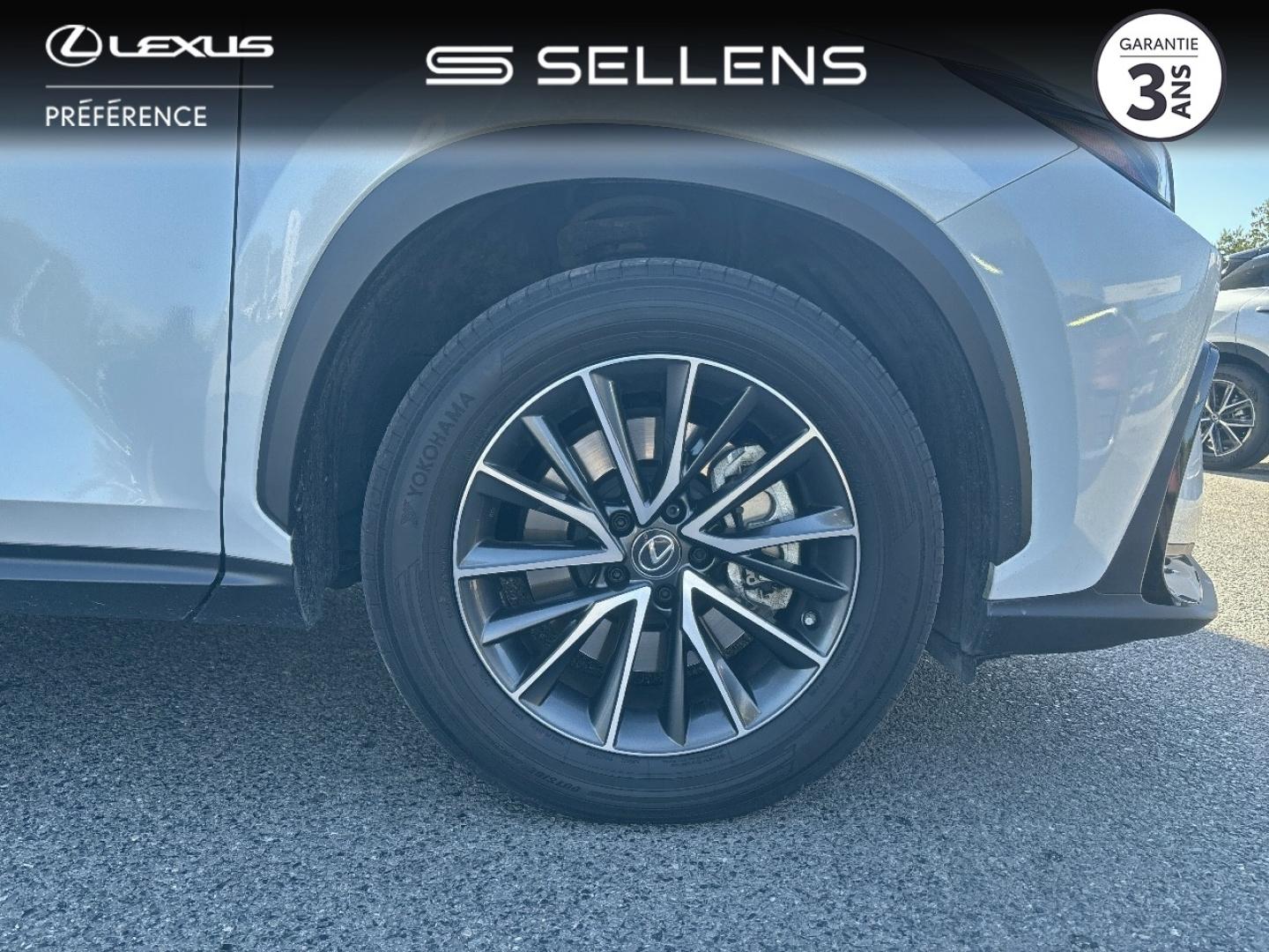 LEXUS NX 450h+ Luxe 4WD MY24 - photo 8
